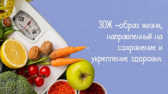 Неделя продвижения здорового образа жизни