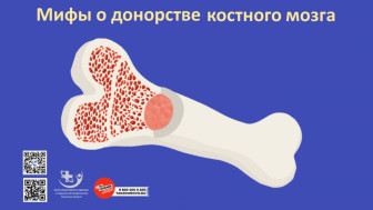 Мифы о донорстве костного мозга