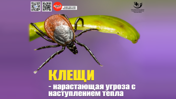 Клещи — нарастающая угроза с наступлением тепла.
