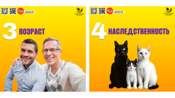 Неделя сохранения мужского здоровья.
