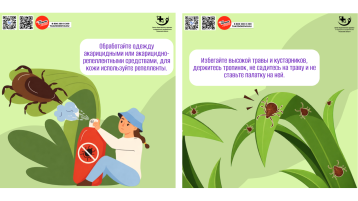 Клещи — нарастающая угроза с наступлением тепла.