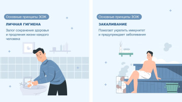 Главные принципы здорового образа жизни.