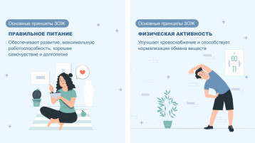 Главные принципы здорового образа жизни.