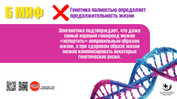 Долголетие без мифов: разбираем популярные заблуждения.