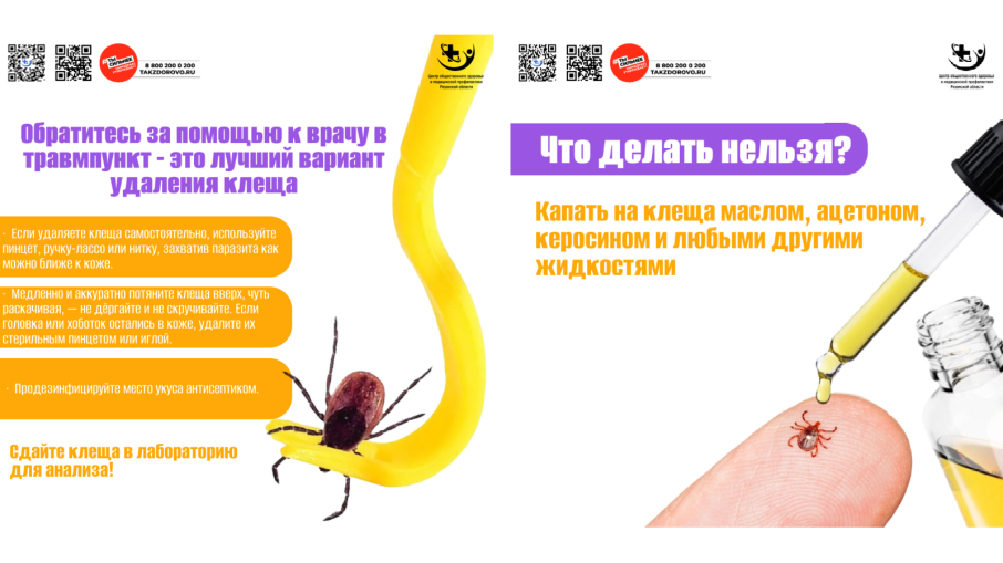 Клещи — нарастающая угроза с наступлением тепла.